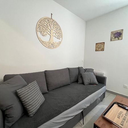 Fenix Appartement T2 40 M2 Cosy Rdc Plein Centre Ville 皮埃尔拉特 外观 照片